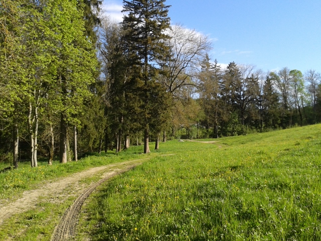 chemin de valangin à la borcarderie