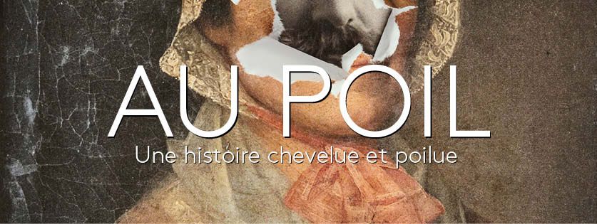 au poil une histoire chevelue et poilue