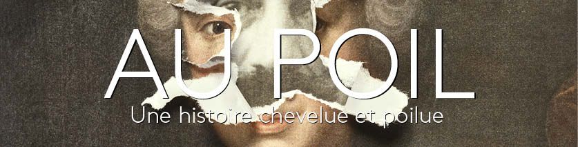 au poil une histoire chevelue et poilue