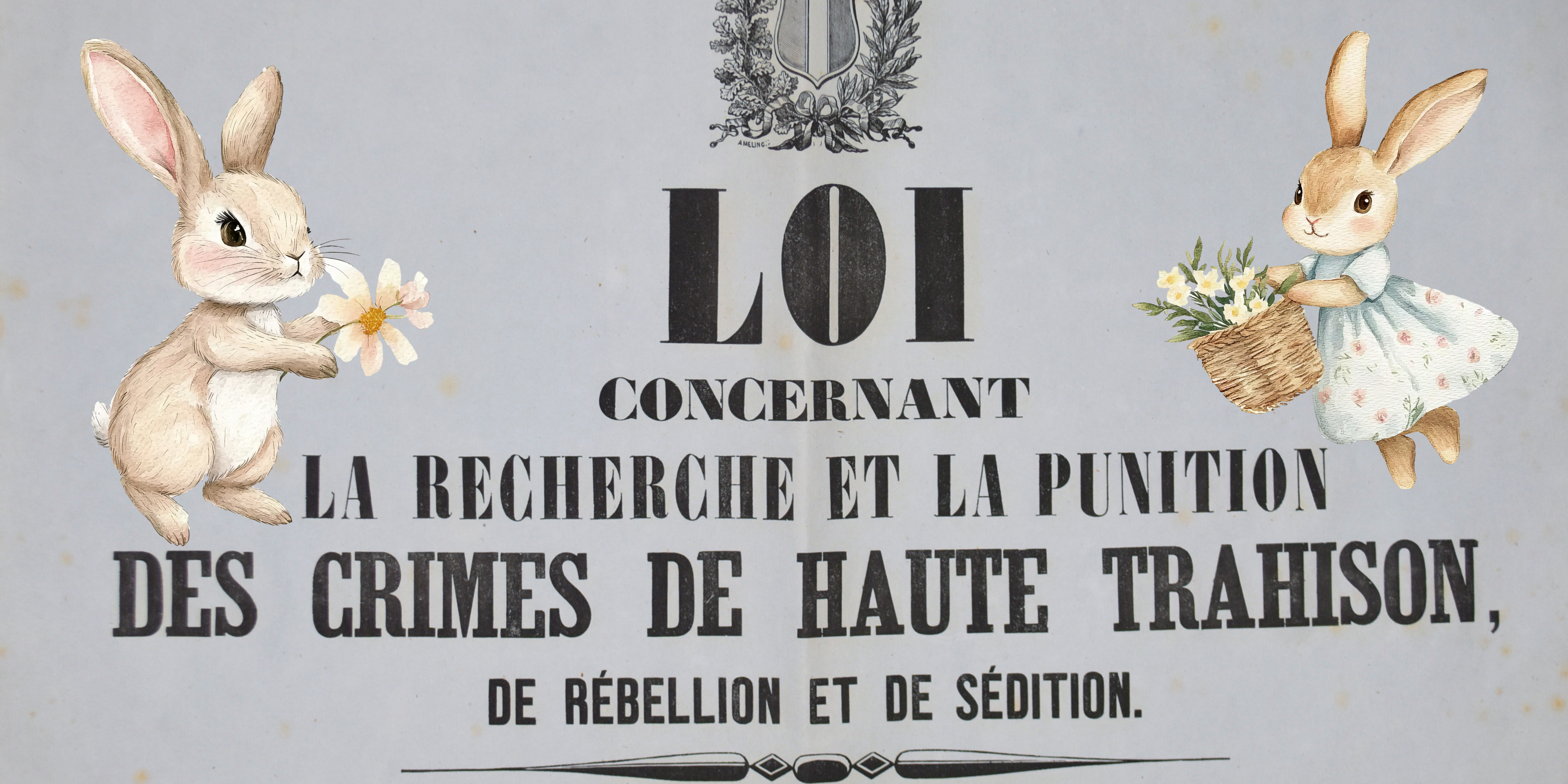 Bannière La révolte des lapins